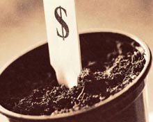 dollar_rost