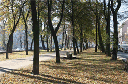 kiev-v-i-n-val