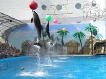 delfinariy
