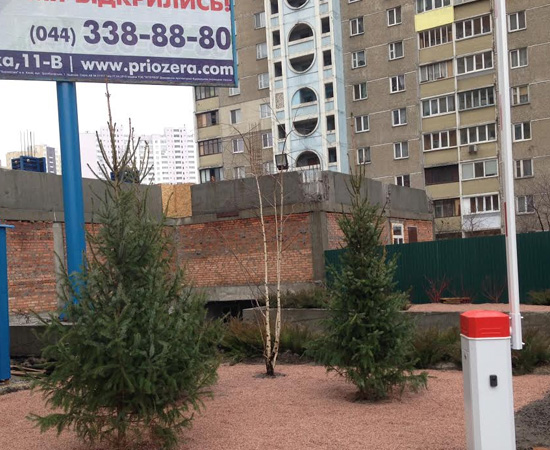 Без имени-2