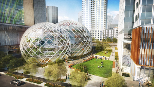 amazon